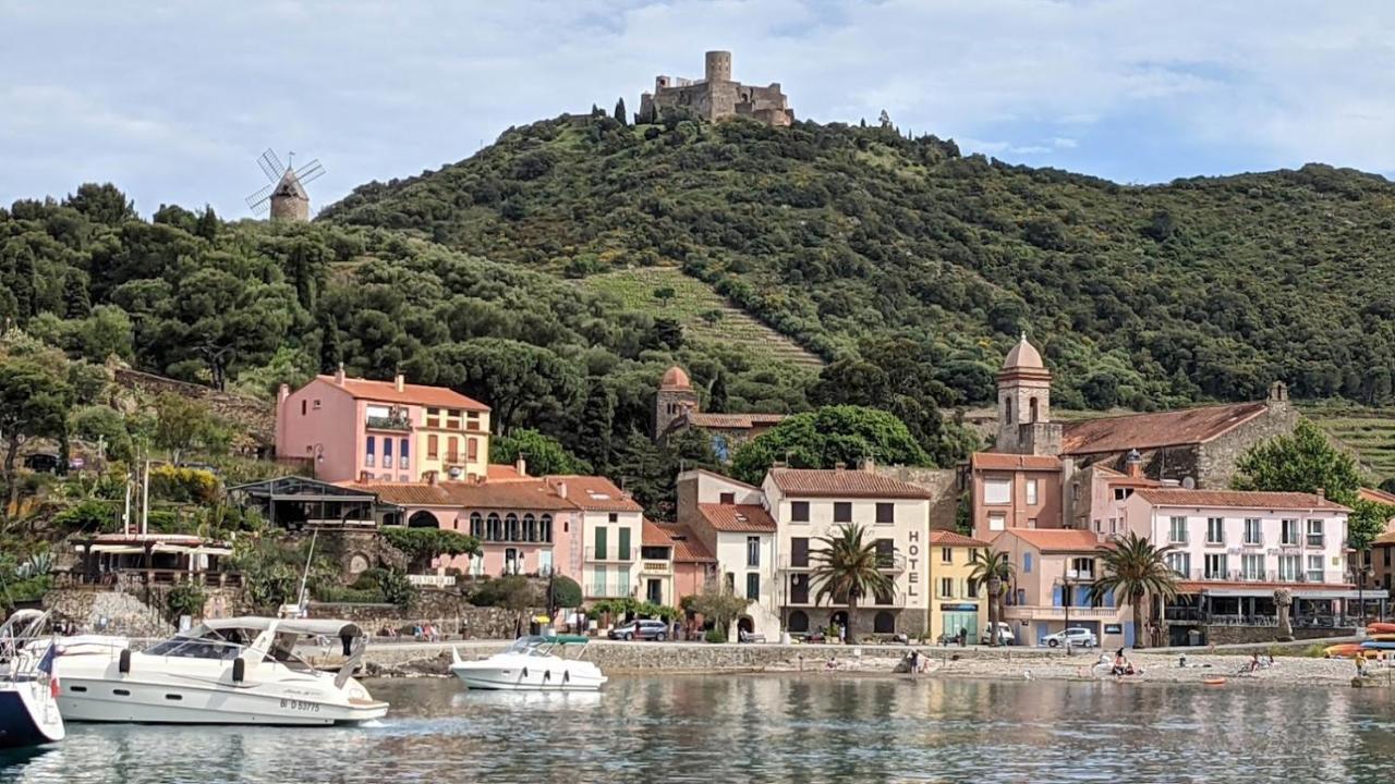 T3bis Résidence Presqu'île de la Lagune Saint-Cyprien  Esterno foto