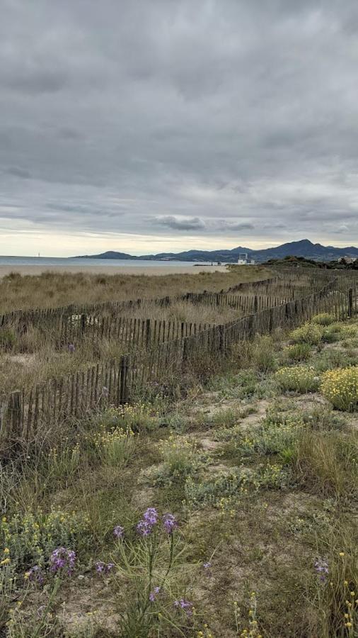 T3bis Résidence Presqu'île de la Lagune Saint-Cyprien  Esterno foto