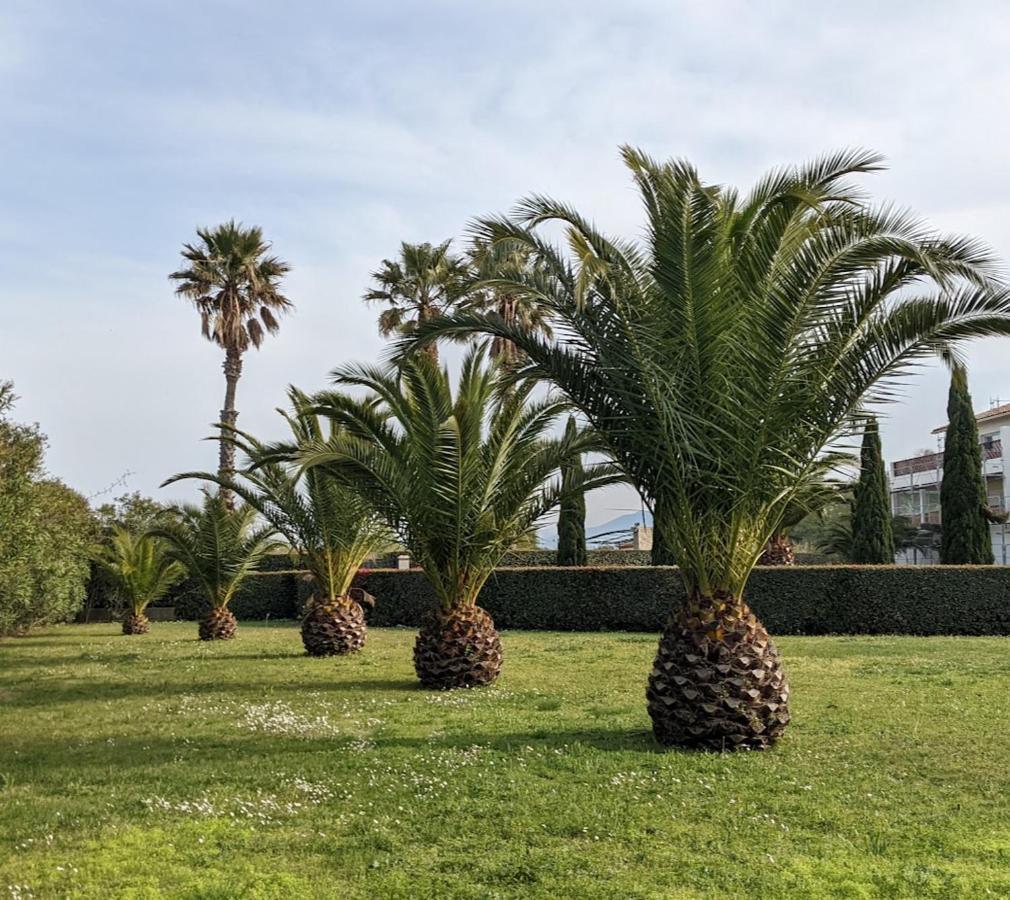 T3bis Résidence Presqu'île de la Lagune Saint-Cyprien  Esterno foto