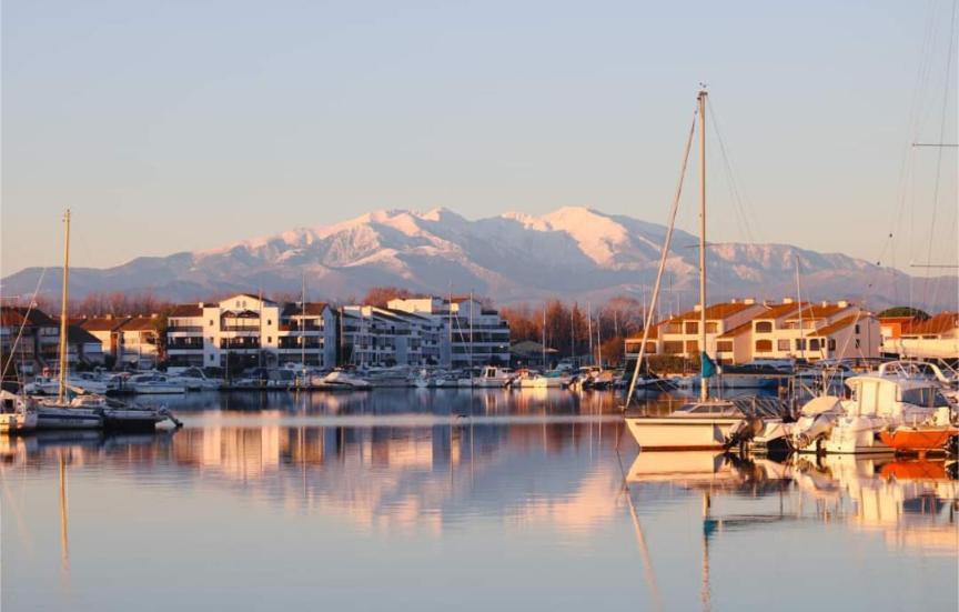 T3bis Résidence Presqu'île de la Lagune Saint-Cyprien  Esterno foto