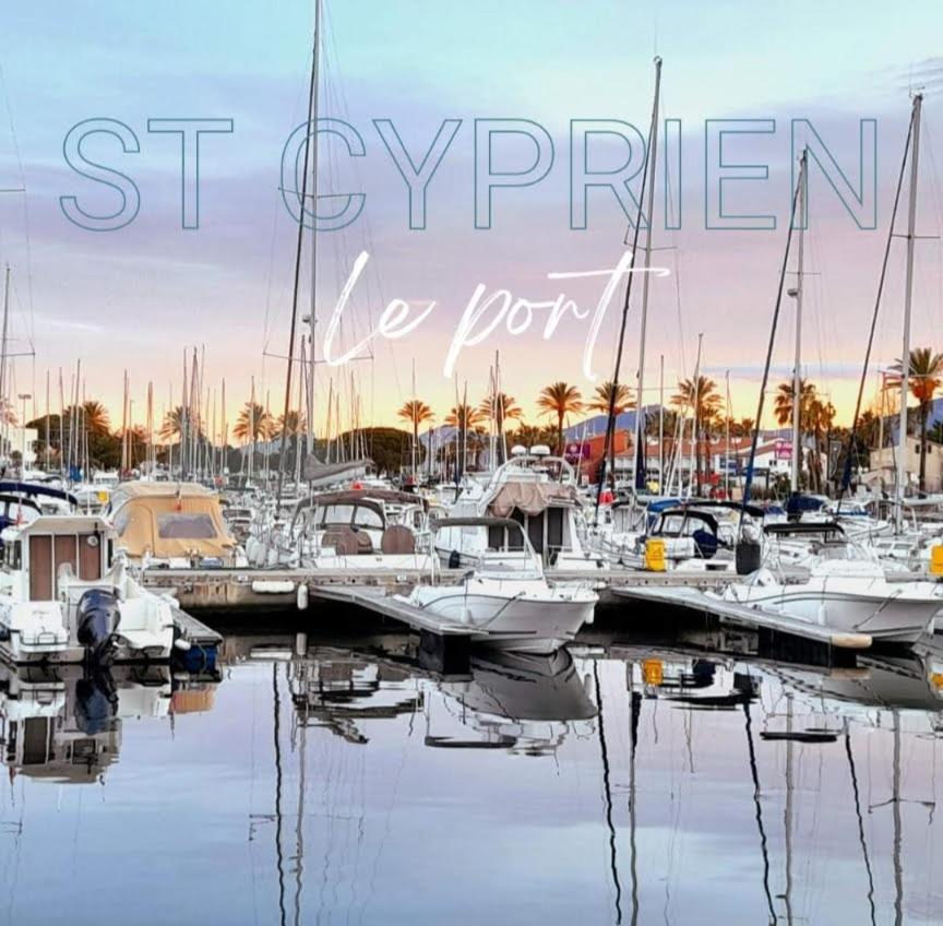 T3bis Résidence Presqu'île de la Lagune Saint-Cyprien  Esterno foto